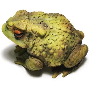 Frog Toad Sculptures Garden Statues Art Resin Decorations Outdoor Garden Decor